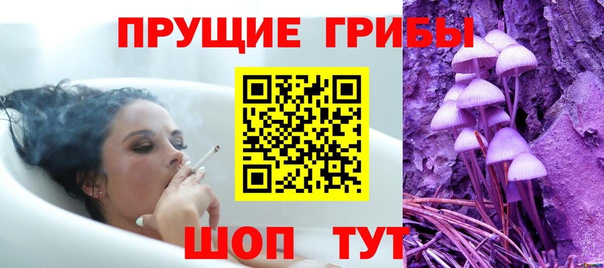 Галлюциногенные грибы Cubensis Екатеринбург