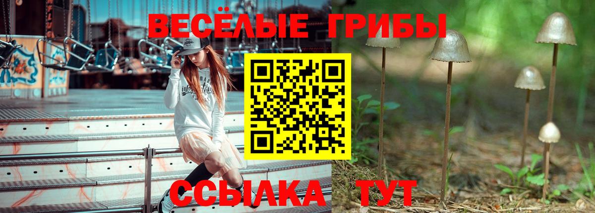 Екатеринбург  Галлюциногенные грибы мицелий  Вход с VPN  Галлюциногенные грибы Cubensis 